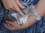 cats03