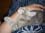 cats04