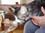 cats21