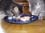 cats24