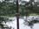finland07090